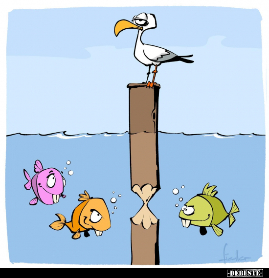  - Lustige Bilder | DEBESTE.de