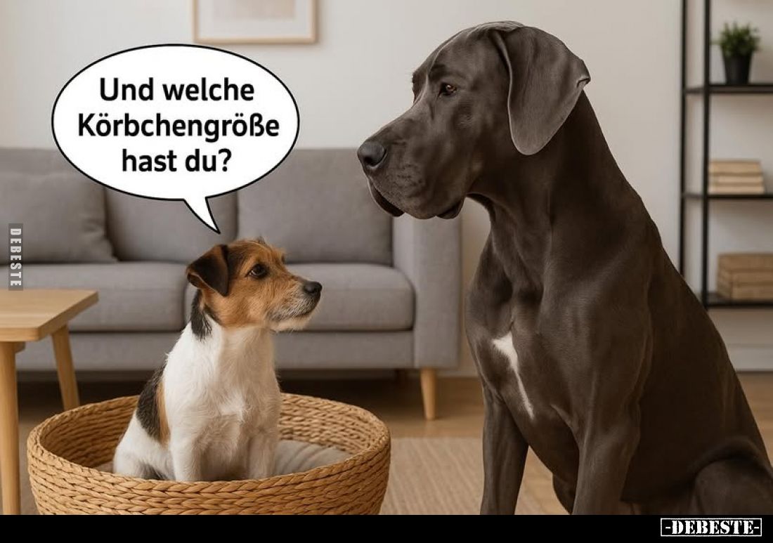 Und welche Körbchengröße hast du?