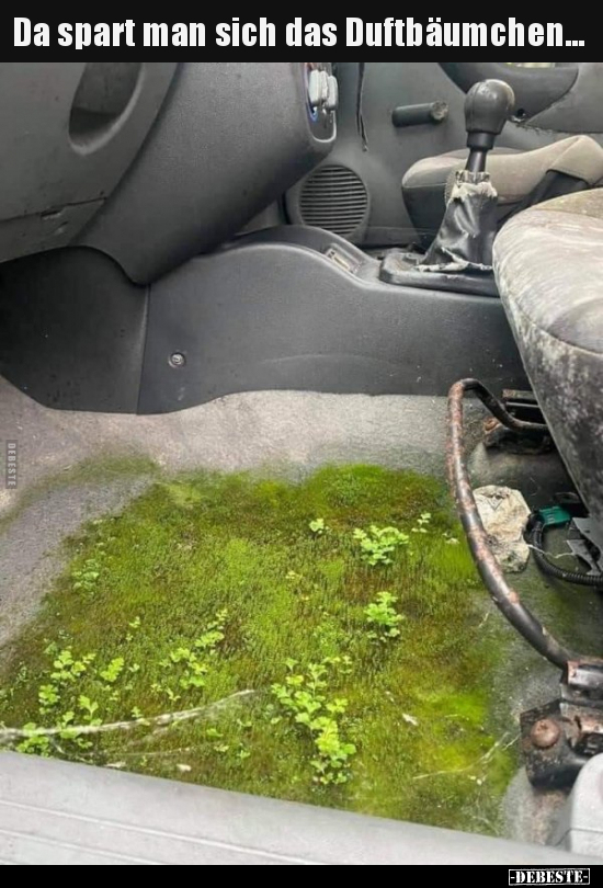 Da spart man sich das Duftbäumchen