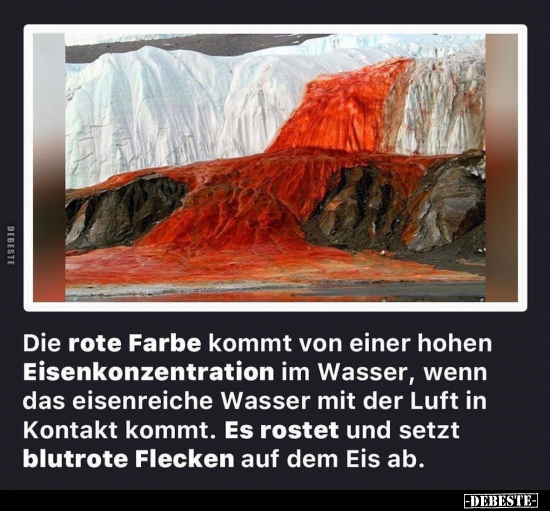 Die rote Farbe kommt von einer hohen Eisenkonzentration im.. - Lustige Bilder | DEBESTE.de