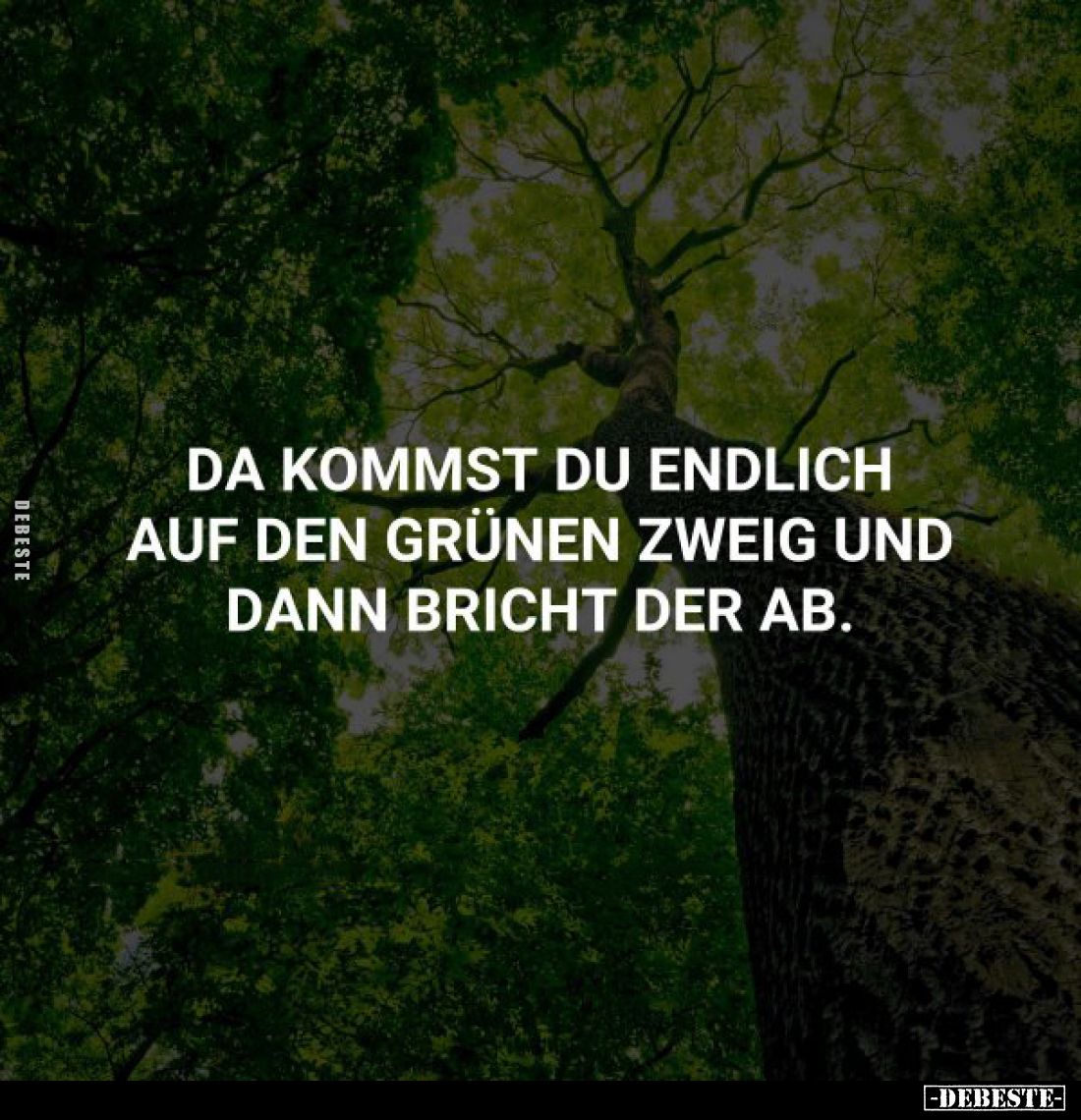 Da kommst du endlich auf den grünen Zweig und dann bricht der ab.