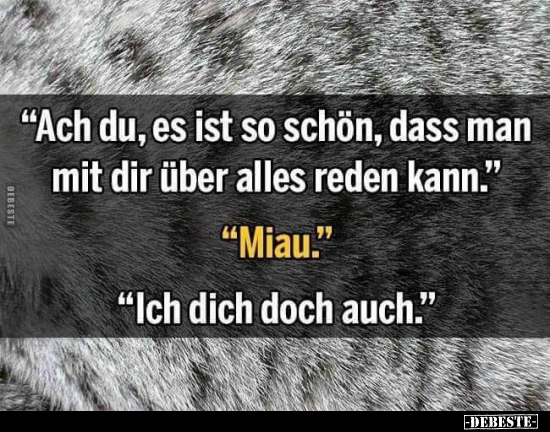 "Ach du, es ist so schön, dass man mit dir über alles reden.." - Lustige Bilder | DEBESTE.de