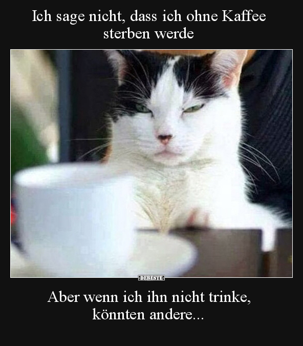 Ich sage nicht, dass ich ohne Kaffee sterben werde.. - Lustige Bilder | DEBESTE.de
