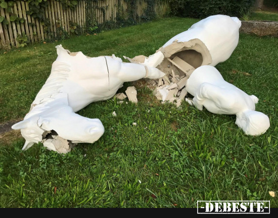  - Lustige Bilder | DEBESTE.de