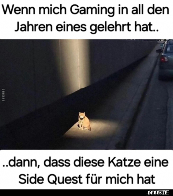 Wenn mich Gaming in all den Jahren.. - Lustige Bilder | DEBESTE.de