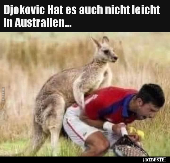 Djokovic Hat es auch nicht leicht in Australien... - Lustige Bilder | DEBESTE.de