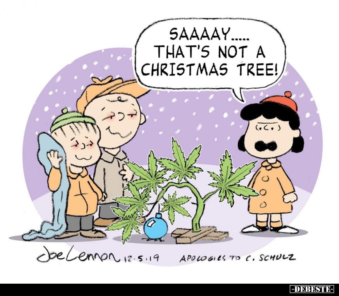 Saaaay..... That's not a christmas tree!