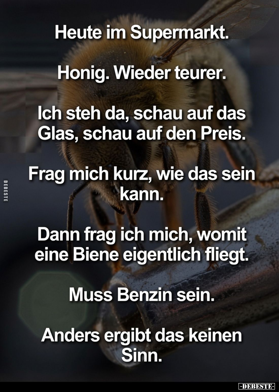 Heute im Supermarkt.
Honig. Wieder teurer.
Ich steh da, schau auf das Glas, schau auf den Preis.
Frag mich kurz, wie das s...