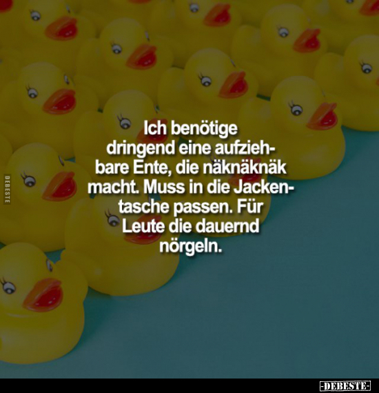 Ich benötige dringend eine aufziehbare Ente.. - Lustige Bilder | DEBESTE.de