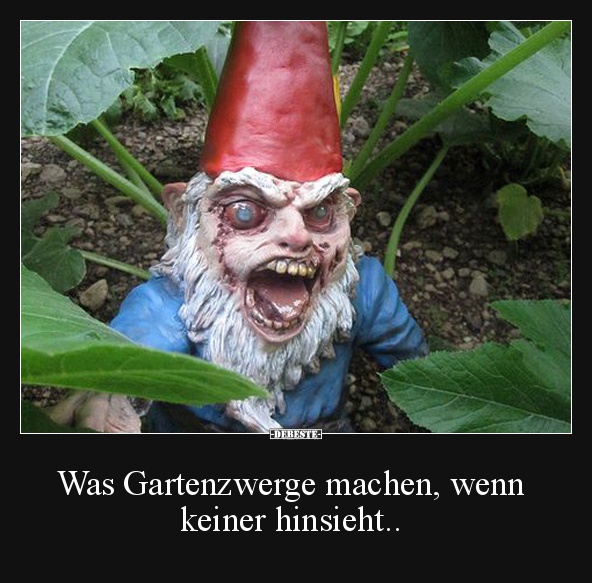 Was Gartenzwerge machen, wenn keiner hinsieht.. - Lustige Bilder | DEBESTE.de