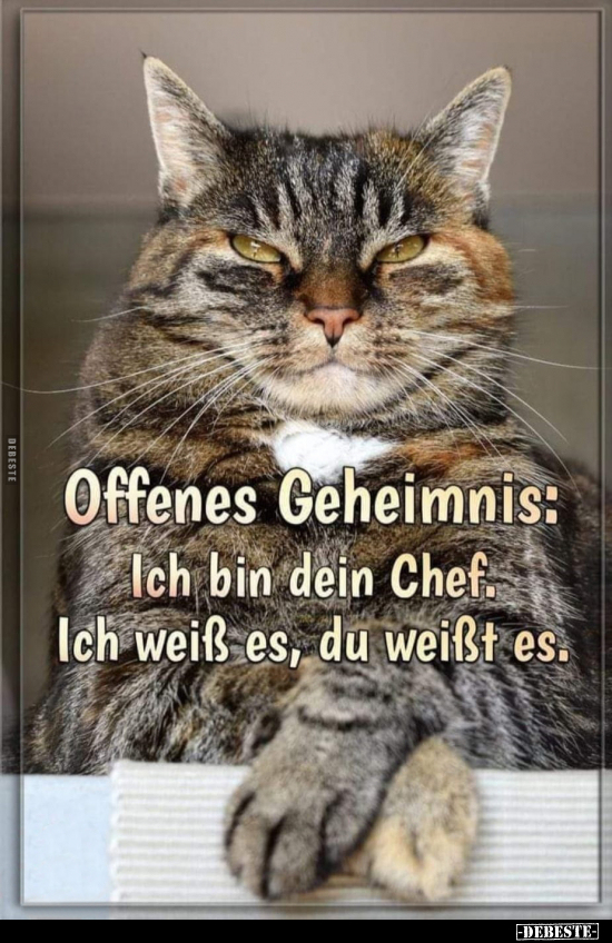 Offenes Geheimnis: Ich bin dein Chef.. - Lustige Bilder | DEBESTE.de