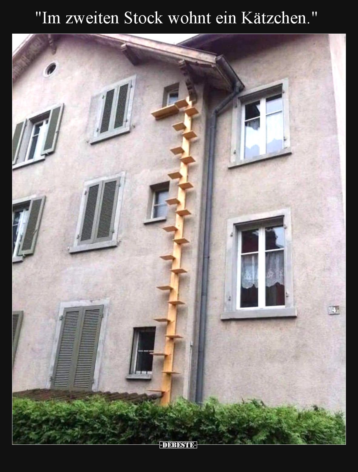 "Im zweiten Stock wohnt ein Kätzchen.".. - Lustige Bilder | DEBESTE.de