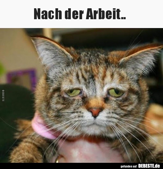 Nach der Arbeit.. - Lustige Bilder | DEBESTE.de