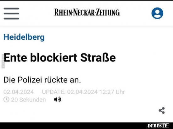 Ente blockiert Straße.. - Lustige Bilder | DEBESTE.de