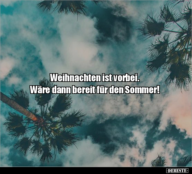 Weihnachten ist vorbei. Wäre dann bereit für den Sommer.. - Lustige Bilder | DEBESTE.de