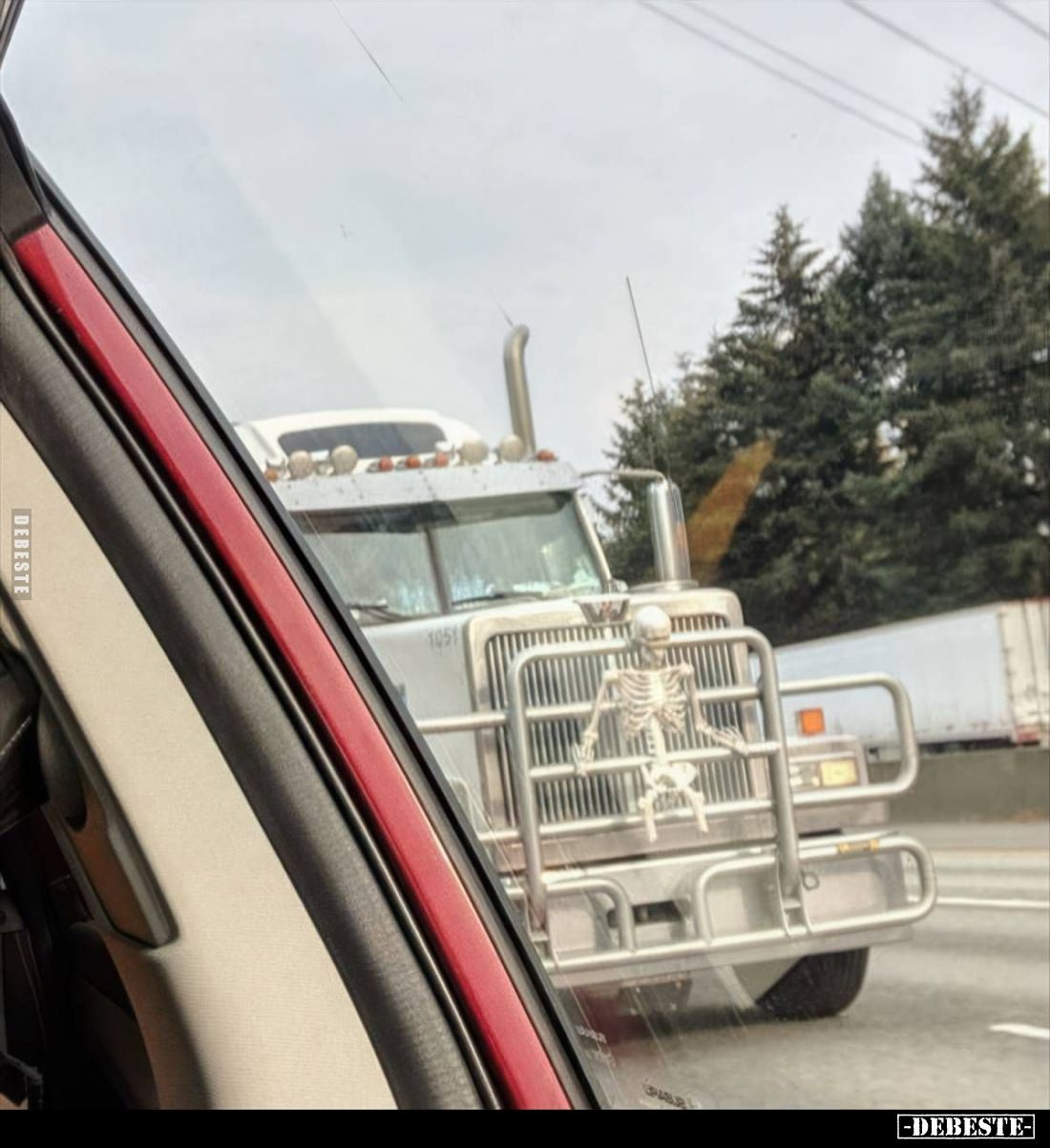  - Lustige Bilder | DEBESTE.de