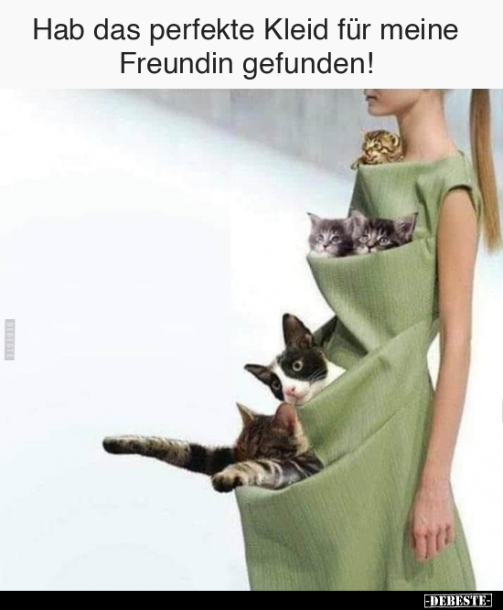 Hab das perfekte Kleid für meine Freundin gefunden!.. - Lustige Bilder | DEBESTE.de