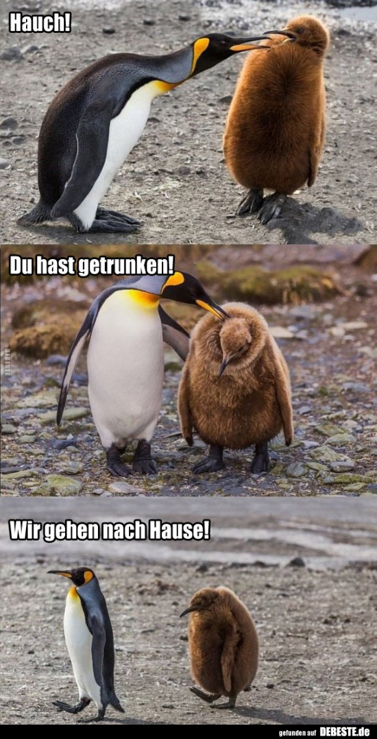 Hauch! Du hast getrunken!..