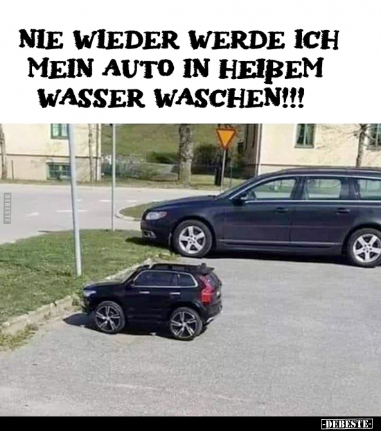 Nie wieder werde ich mein Auto.. - Lustige Bilder | DEBESTE.de