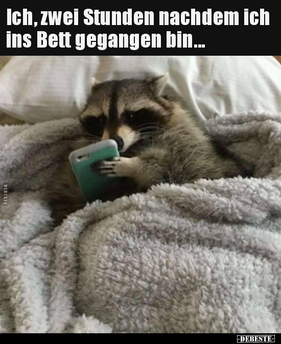 Ich, zwei Stunden nachdem ich ins Bett gegangen bin...