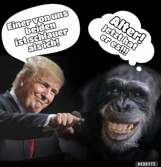 Einer von uns beiden ist schlauer als ich!