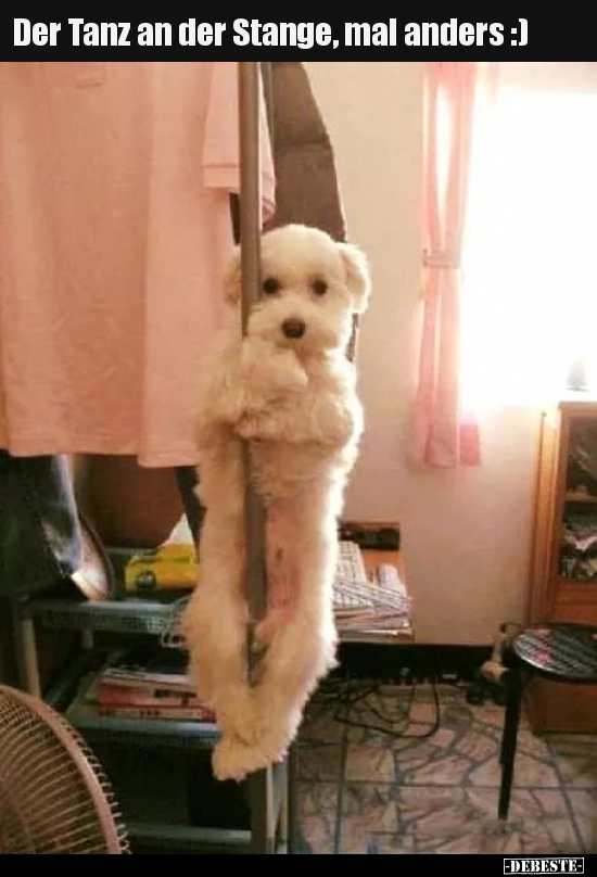 Der Tanz an der Stange, mal anders :)
