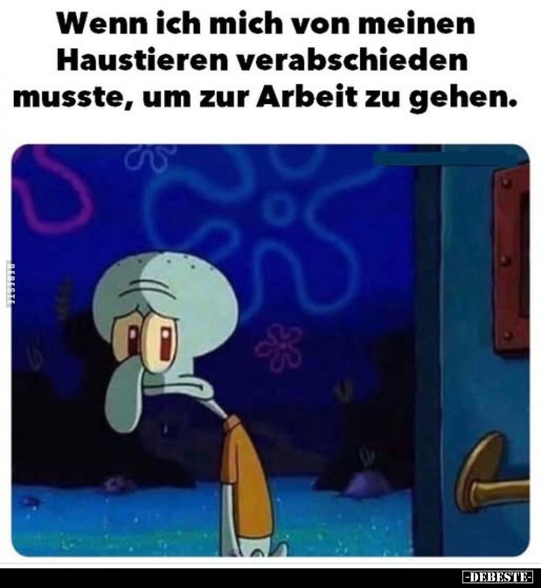 Wenn ich mich von meinen Haustieren verabschieden musste, um zur Arbeit zu gehen.