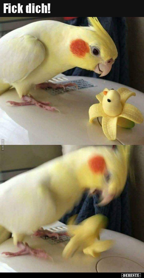 Fick dich!