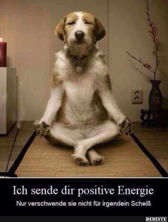 Ich Sende Dir Positive Energie Lustige Bilder Spruche Witze Echt Lustig