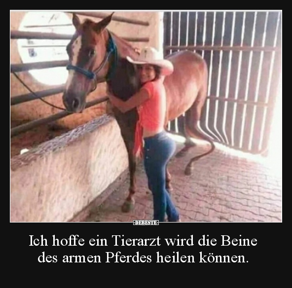Ich hoffe ein Tierarzt wird die Beine des armen Pferdes..