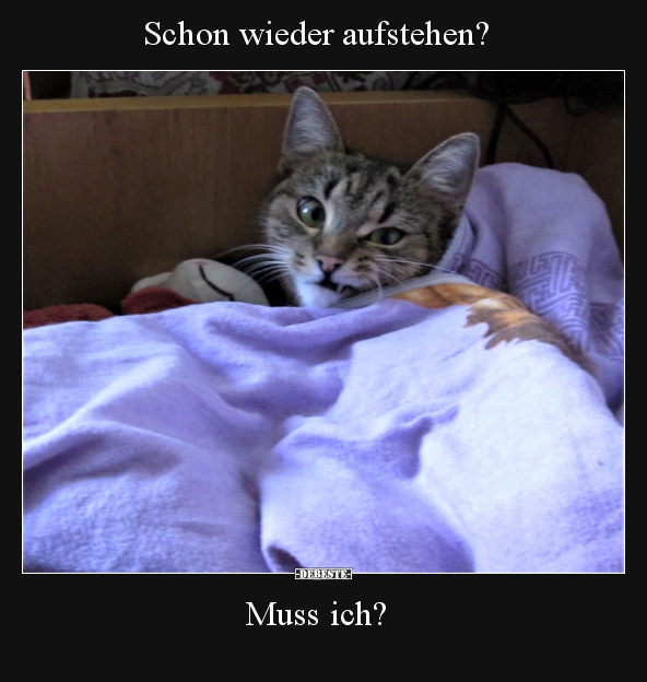 Schon wieder aufstehen? - Lustige Bilder | DEBESTE.de