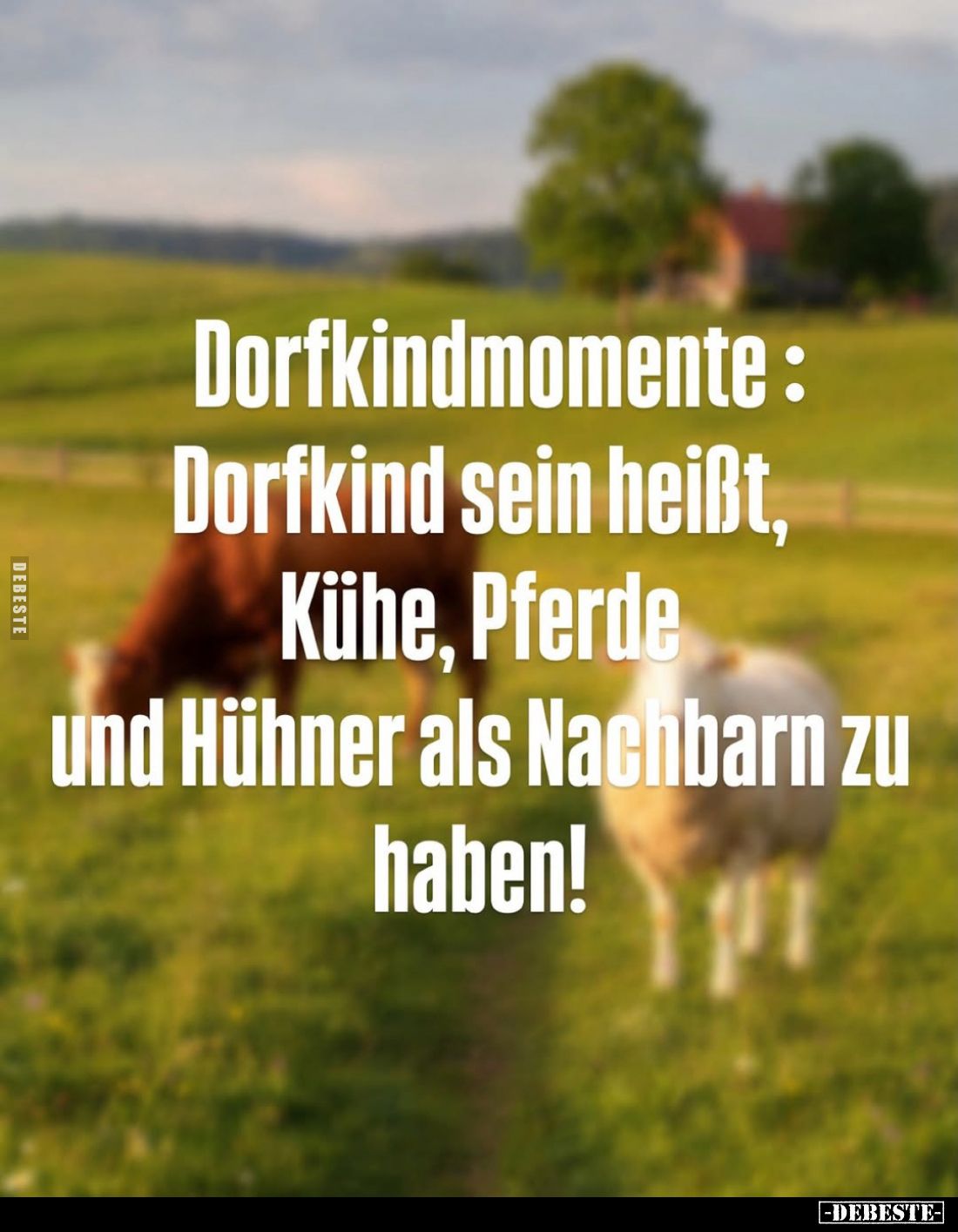 Dorfkindmomente: Dorfkind sein heißt, Kühe, Pferde und Hühner als Nachbarn zu haben!
