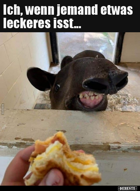 Ich, wenn jemand etwas leckeres isst...