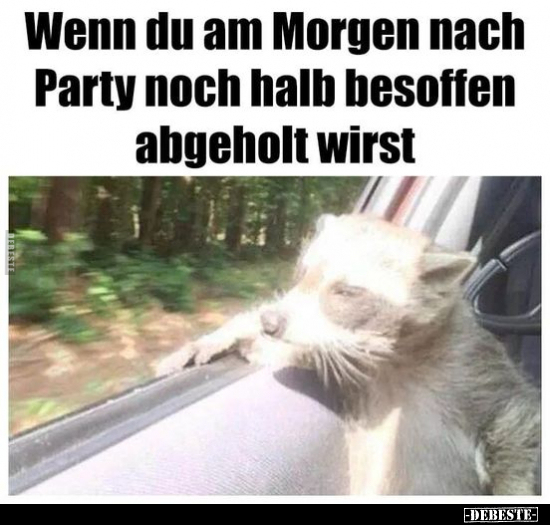 Wenn du am Morgen nach Party noch halb besoffen abgeholt.. - Lustige Bilder | DEBESTE.de