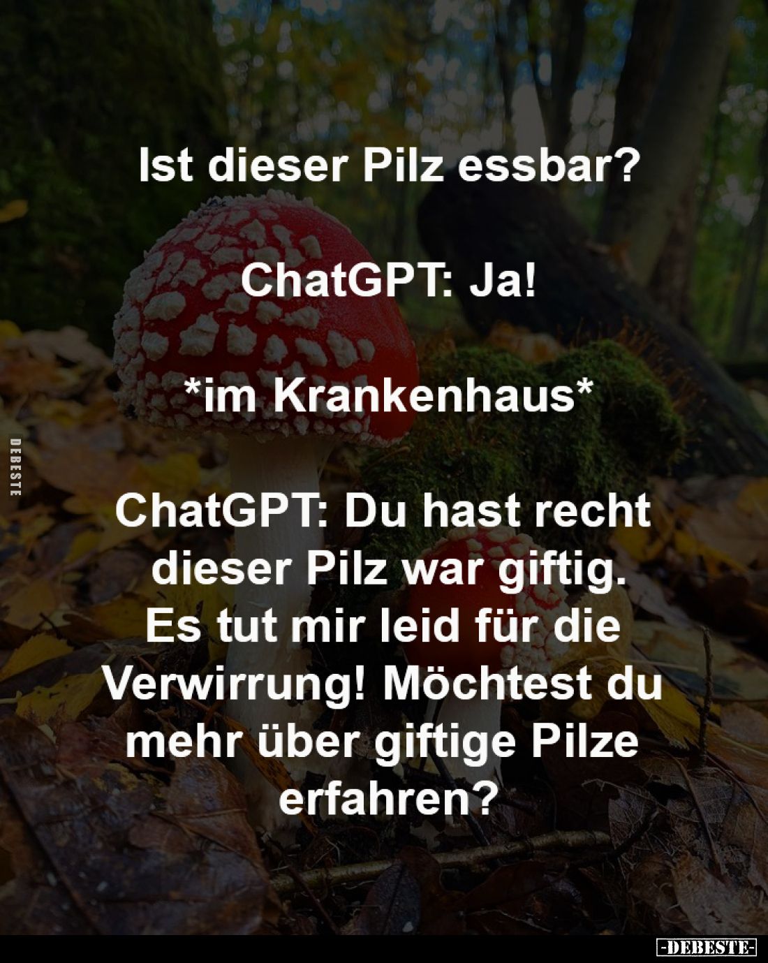Ist dieser Pilz essbar?
-
ChatGPT: Ja!
-
*im Krankenhaus*
-
ChatGPT: Du hast recht 
dieser Pilz war giftig.
Es tut mi...