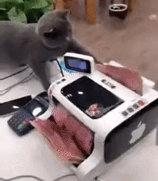 Nebenjob als Geldzähler..