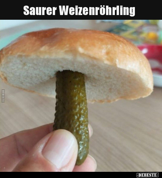 Saurer Weizenröhrling.. - Lustige Bilder | DEBESTE.de