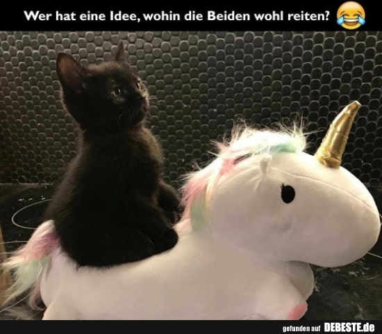 Wer hat eine Idee, wohin die Beiden wohl reiten?