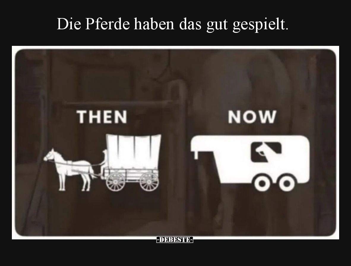 Die Pferde haben das gut gespielt... - Lustige Bilder | DEBESTE.de