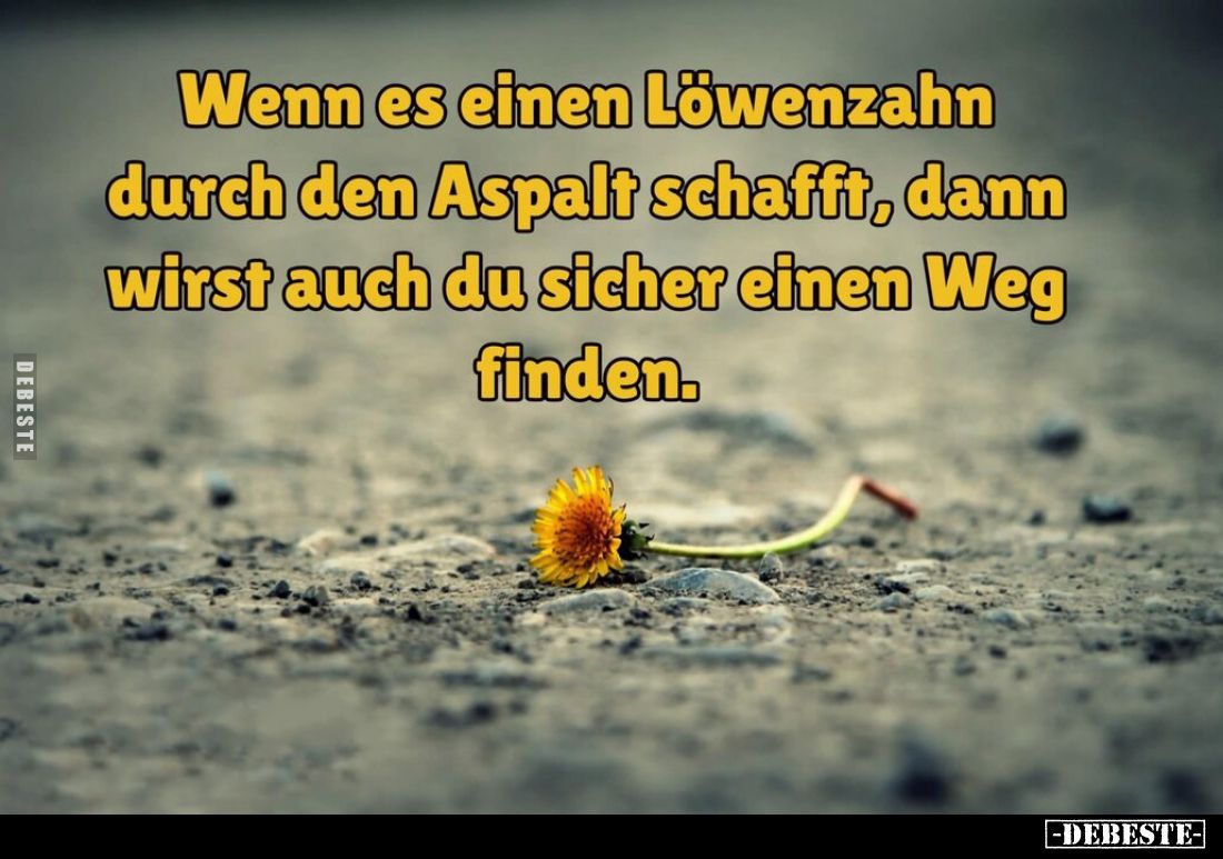 Wenn es einen Löwenzahn durch den Aspalt schafft, dann wirst auch du sicher einen Weg finden.