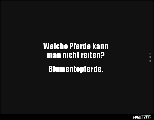 Welche Pferde kann man nicht reiten?.. - Lustige Bilder | DEBESTE.de