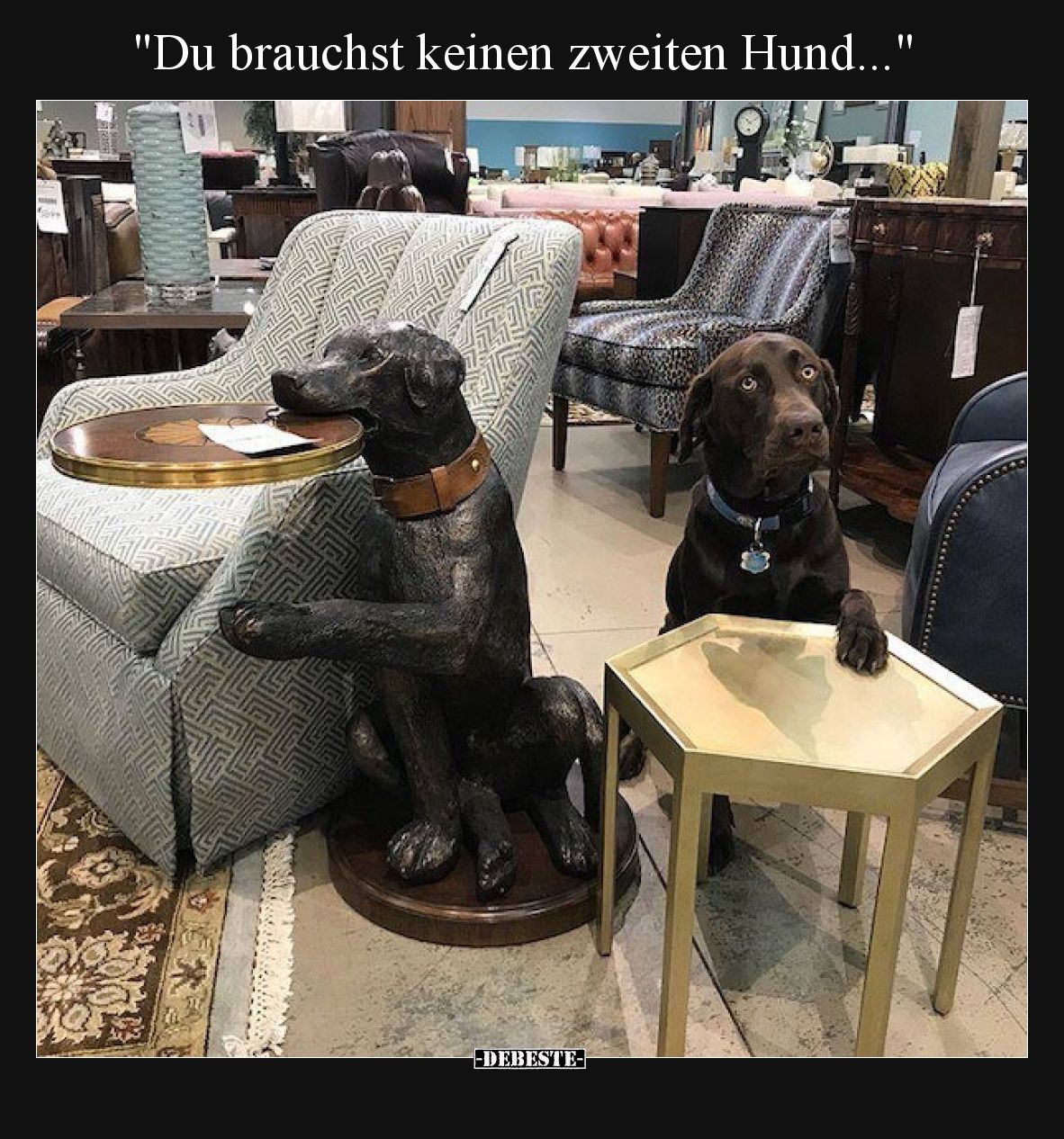 "Du brauchst keinen zweiten Hund...".. - Lustige Bilder | DEBESTE.de