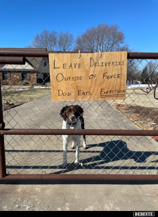  - Lustige Bilder | DEBESTE.de