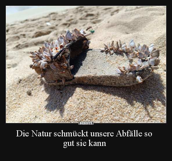 Die Natur schmückt unsere Abfälle so gut sie kann.. - Lustige Bilder | DEBESTE.de