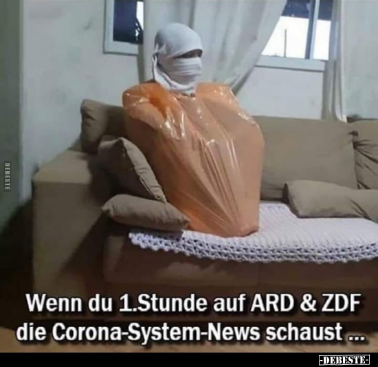 Wenn du 1.Stunde auf ARD & ZDF die Corona-System-News.. - Lustige Bilder | DEBESTE.de
