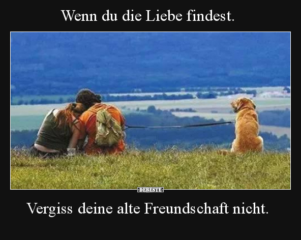 Wenn du die Liebe findest... - Lustige Bilder | DEBESTE.de