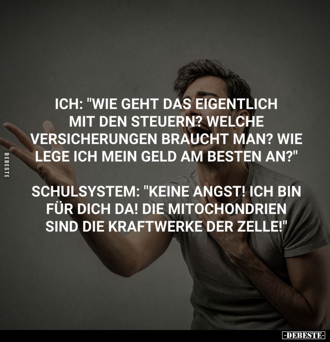 Ich: "Wie geht das eigentlich mit den Steuern? Welche Versicherungen braucht man? Wie lege ich mein Geld am Besten an?&q...