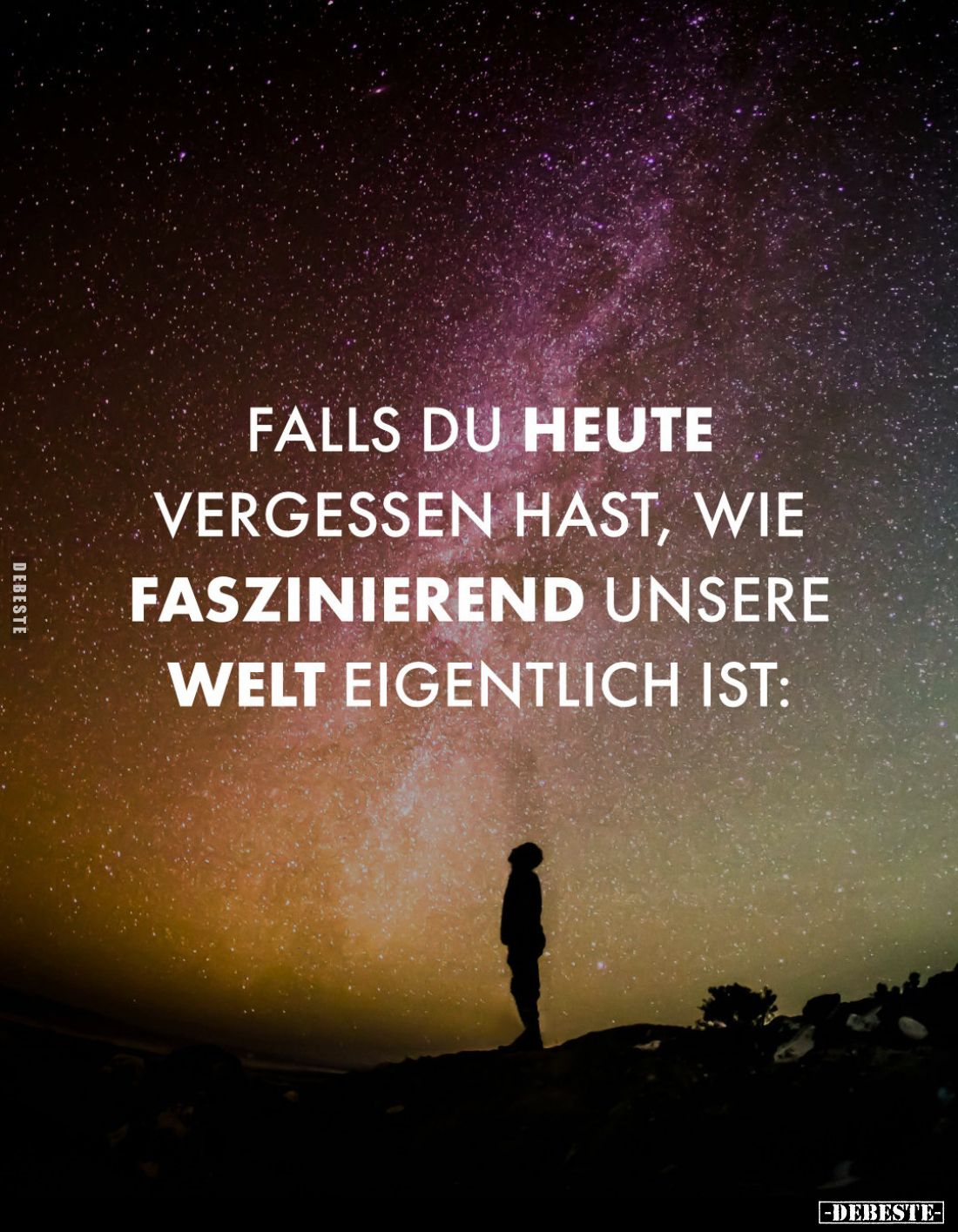 Falls du heute vergessen hast, wie faszinierend unsere Welt eigentlich ist: