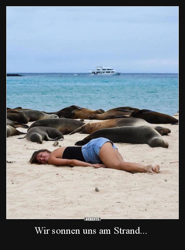 Wir sonnen uns am Strand... - Lustige Bilder | DEBESTE.de