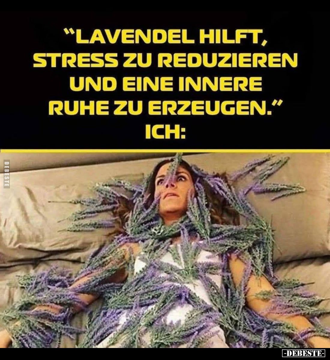 Lavendel hilft, Stress zu reduzieren und eine innere Ruhe zu erzeugen.